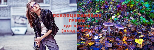 гашиш Надым