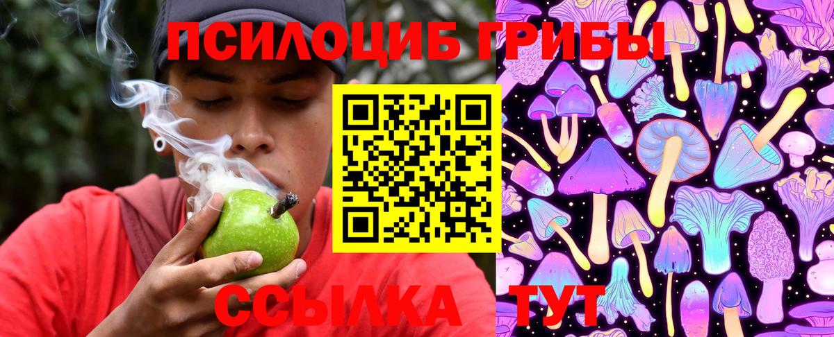 Галлюциногенные грибы Psilocybe Кувандык